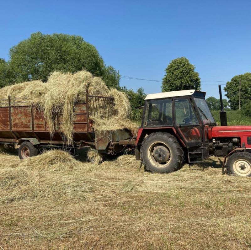 Traktor s vlečkou sena na Farmě Křešice