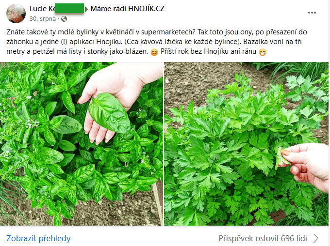 Hnojení bylinek 4 petržel hnojík.cz