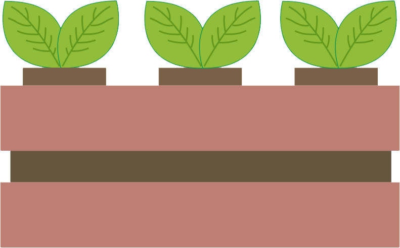 truhliky s hnojíkem