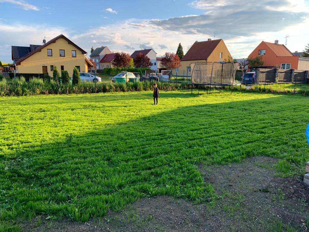 Hnojení trávníku 12 hnojení nového trávníku