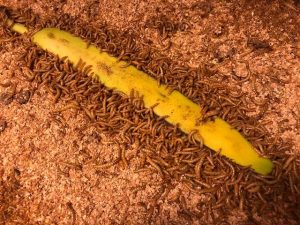 Článek 3 16 IMG 7822 rotated e1663086018642