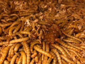 Článek 3 18 IMG 8128