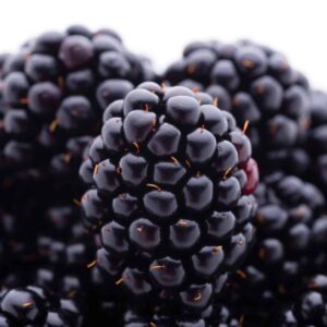 Ostružiník - plody