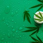 cosmetics with cannabis extract on a wet background selective focus