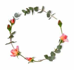 Elegant floral frame