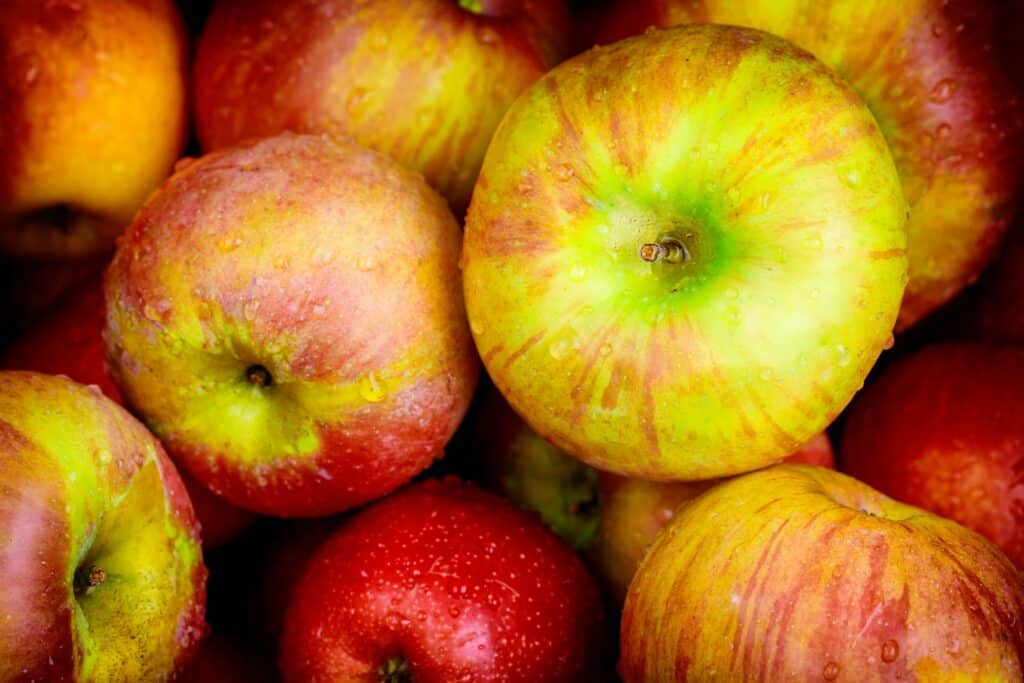 Jabloň 9 Nejchutnějí odrůdy jabloní honeycrisp
