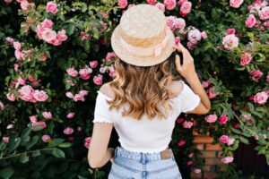 růže pnoucí růžové