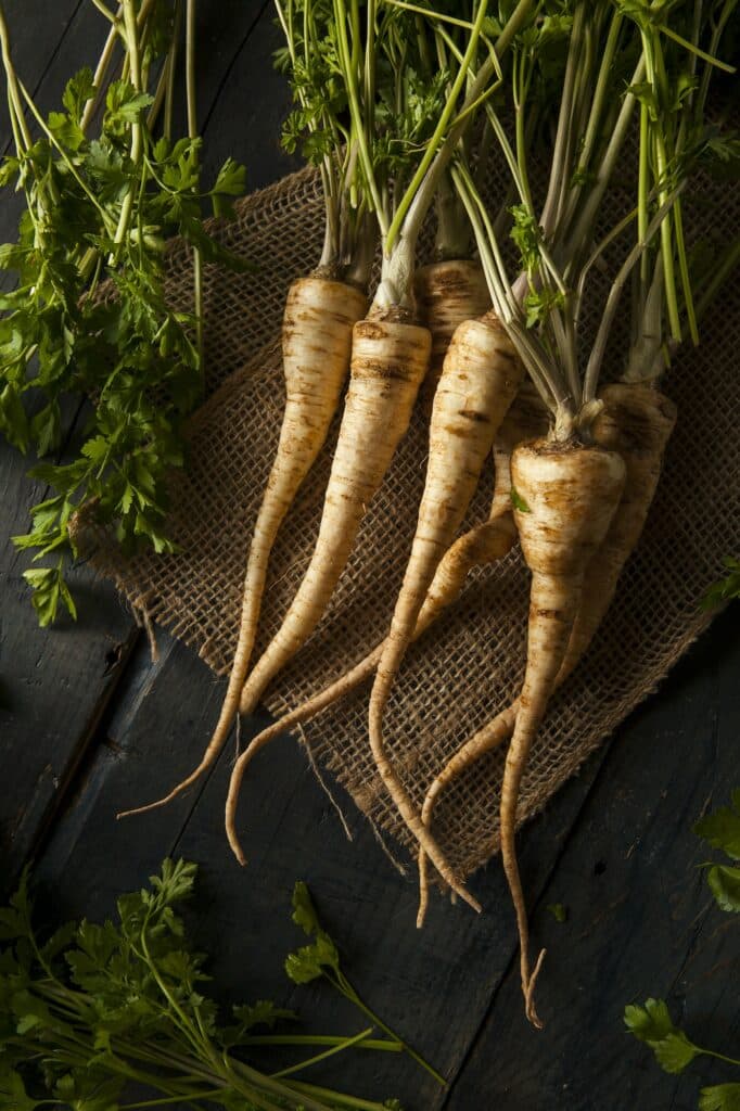 Petržel 10 Raw Organic Parsley Root