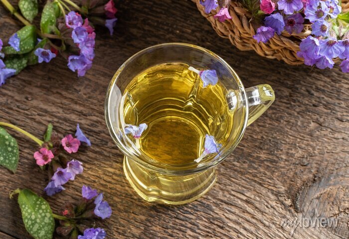 Plicník lékařský čaj pulmonaria