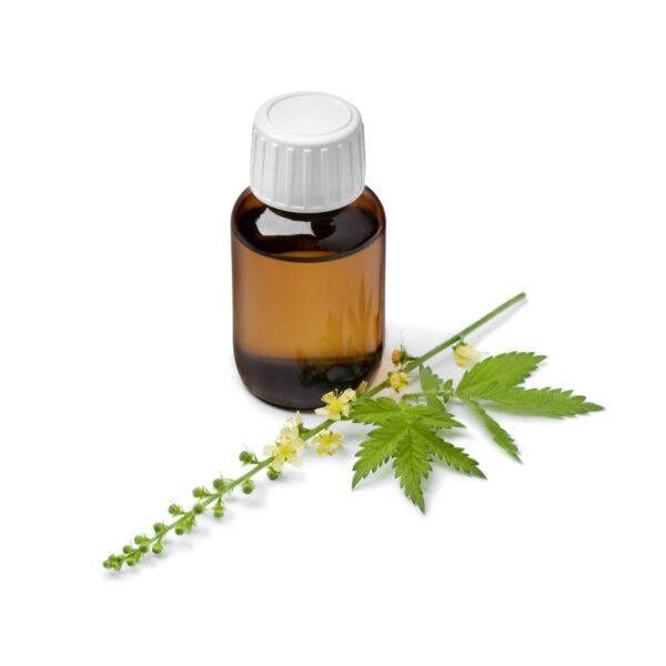 Řepík lékařský koupel