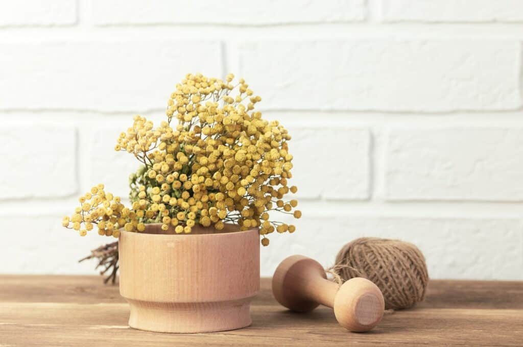 Vratič obecný sušený - Tanacetum vulgare