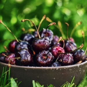 Vrtule třešňová - napadené plody