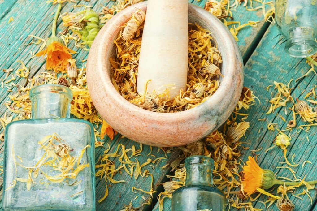 Měsíček lékařský - sušený