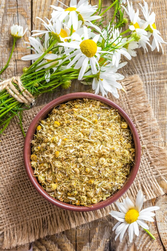 Dry chamomile
