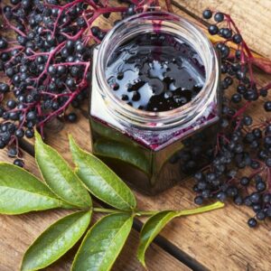 Černý bez - plody a džem