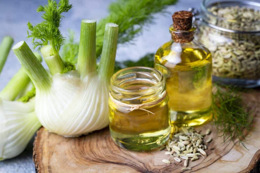 Fenykl v těhotenství - hlízy, olej a semínka