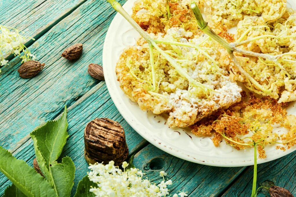 Černý bez - smažené květy kosmatice