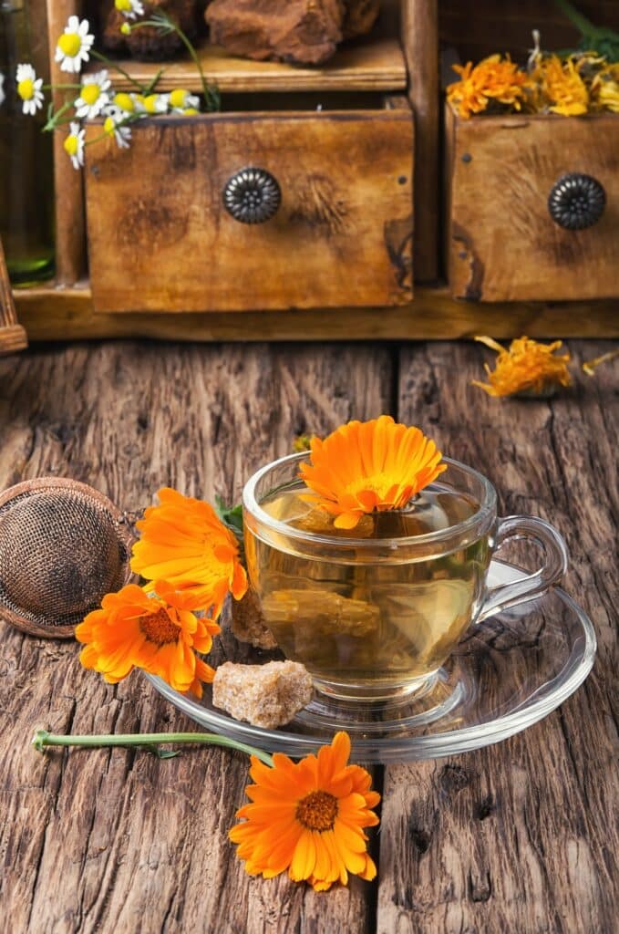 Měsíček lékařský - čaj