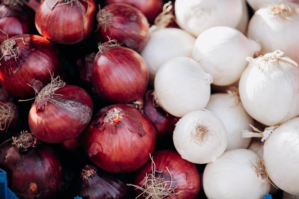 Cibulová zelenina - červená a bílá cibule