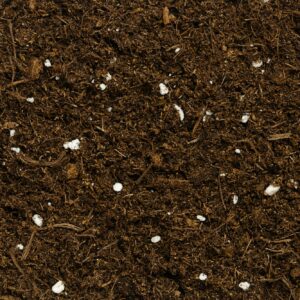 Substrát s mykorhizními houbami