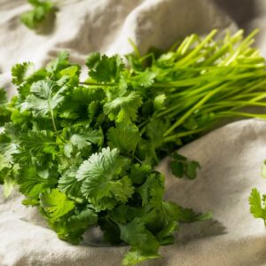 Koriandr
