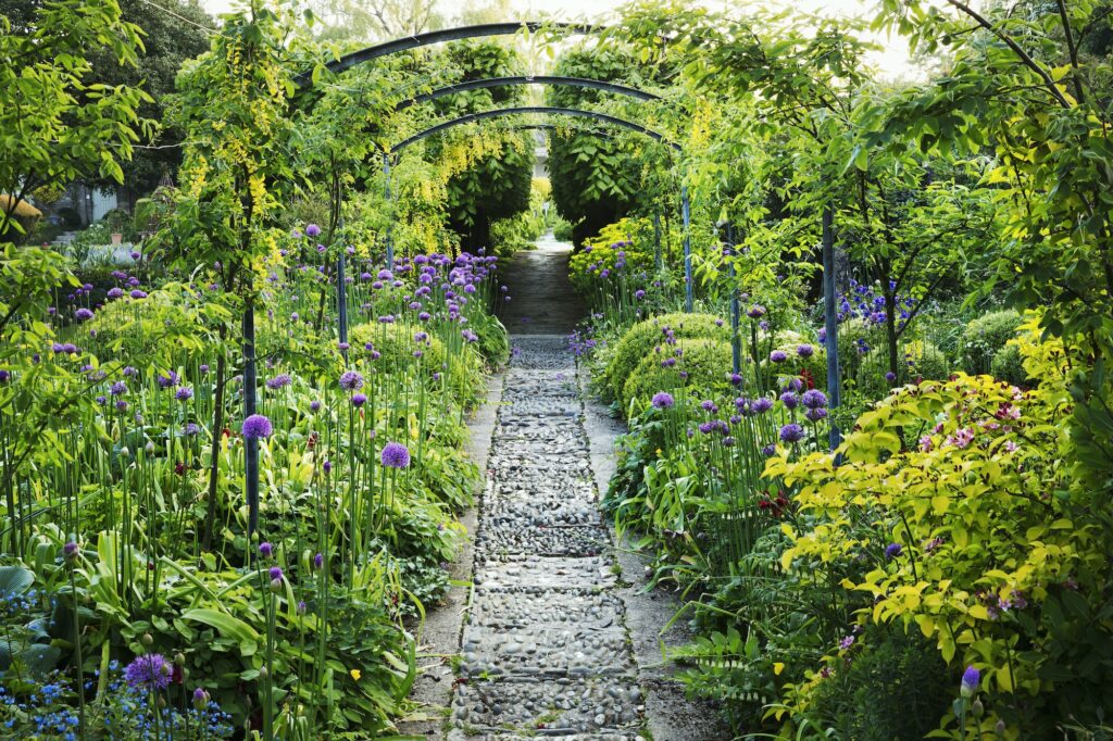 View along a garden path, flower beds with purple Allium and trees in the background.