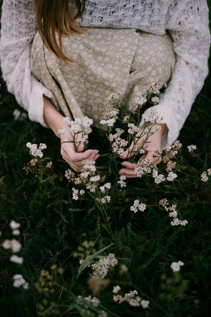 Woman picking herbs, yarrow, during a late summer evening.