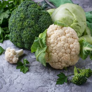 Nádorovitost brukvovitých napadá všechny brukvovité