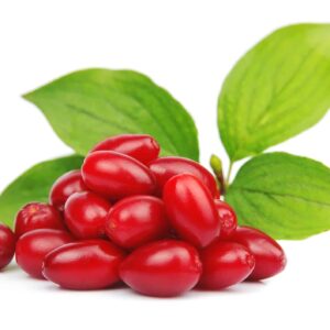 Dřín plody s listy