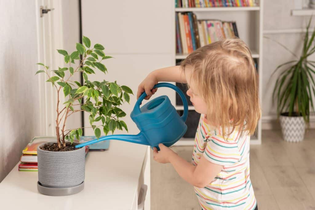 Zalévání 13 Girl watering a home plant with a watering can