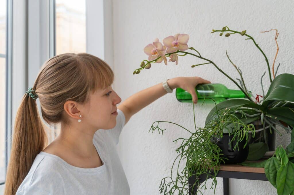 Zalévání 14 Young lady watering orchid with plastic bottle on balcony. Home gadrening