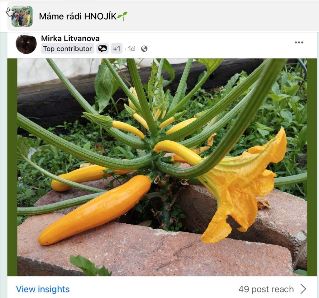 Hnojivo které si zamilujete !!! 43 2023 07 13 09 16 36