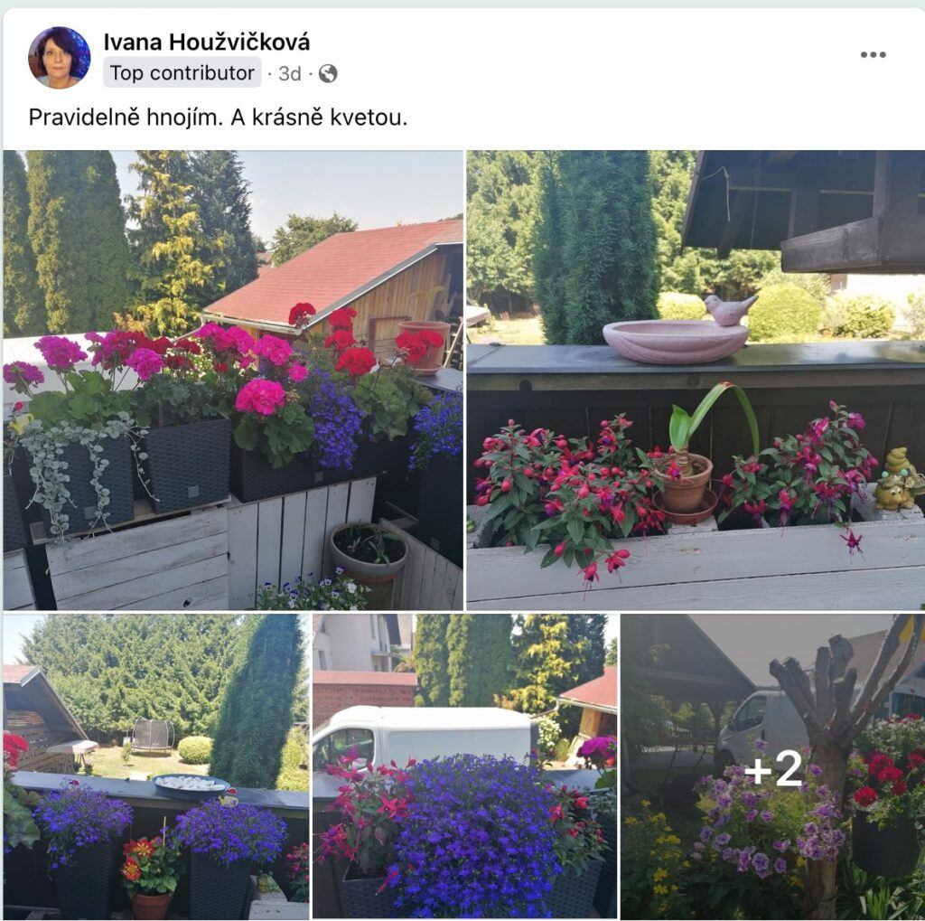 Hnojivo které si zamilujete !!! 48 2023 07 13 09 21 01