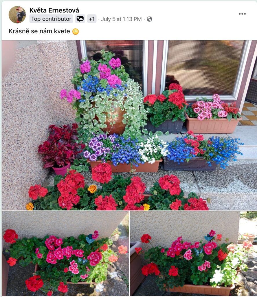 Hnojivo které si zamilujete !!! 45 2023 07 13 09 21 46