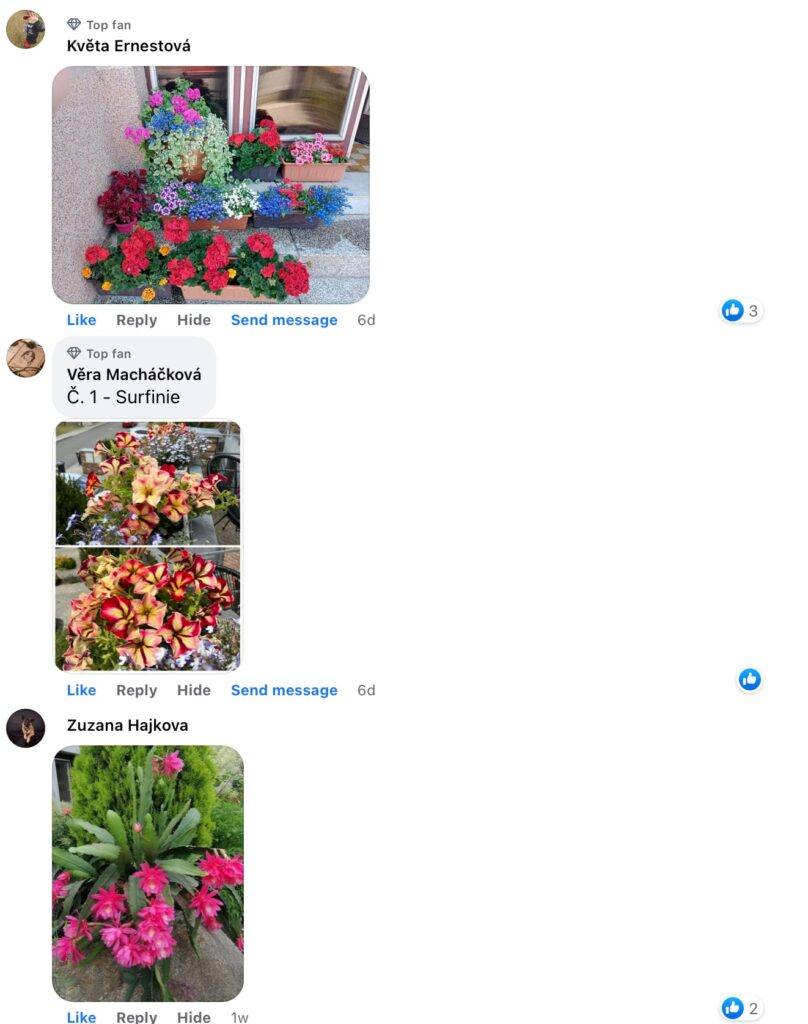 Hnojivo které si zamilujete !!! 56 2023 07 13 09 46 31