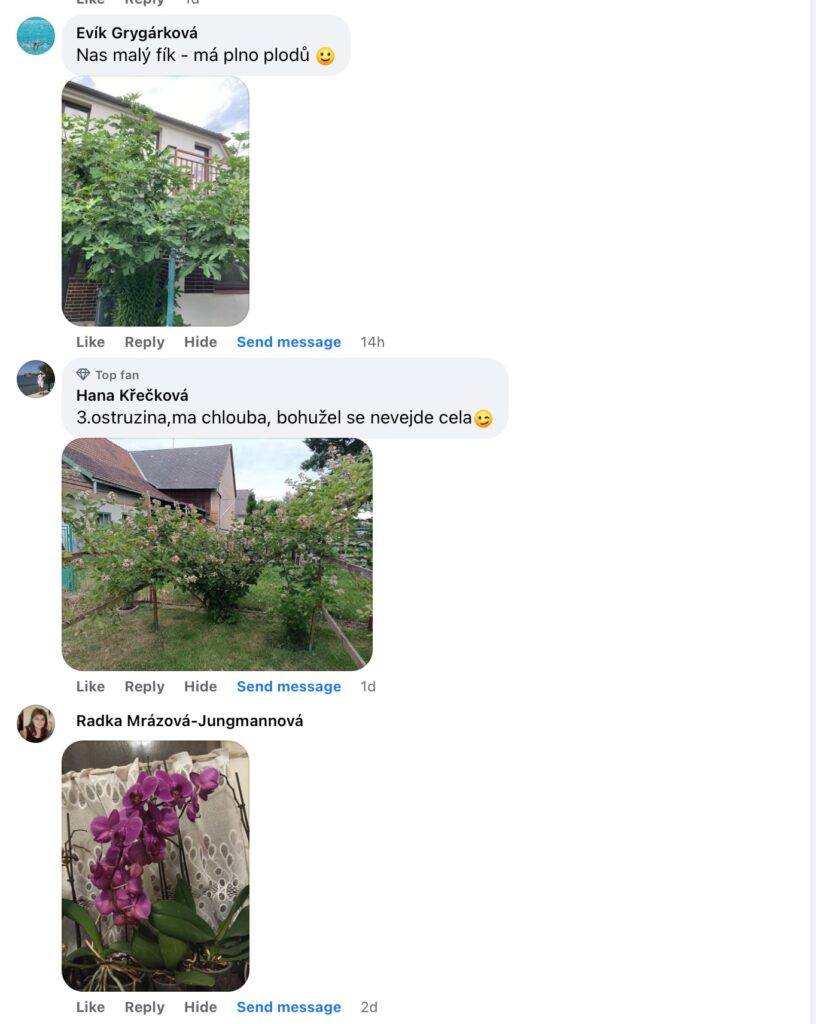 Hnojivo které si zamilujete !!! 55 2023 07 13 09 46 48