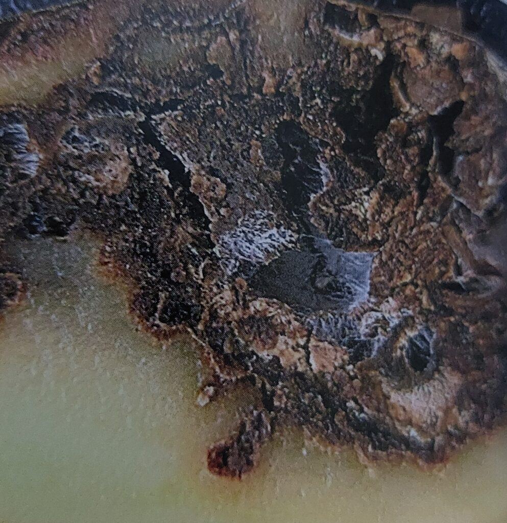 Fomová hniloba brambor - postižená hlíza - průřez