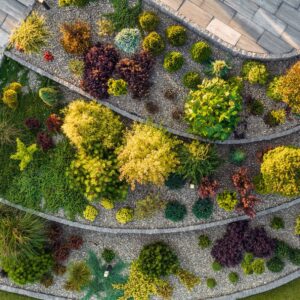 Pohled na čerstvě založenou skalku svrchu