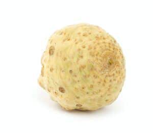 Septoriová skvrnitost celeru - menší bulva celeru