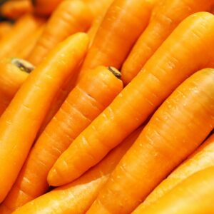 Alternariová skvrnitost mrkve postihuje hlavně mrkev