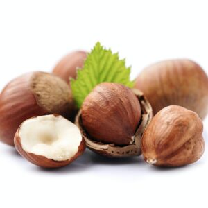 Líska plody zblízka