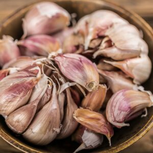 Plíseň česneku napadá všechny česnekovité