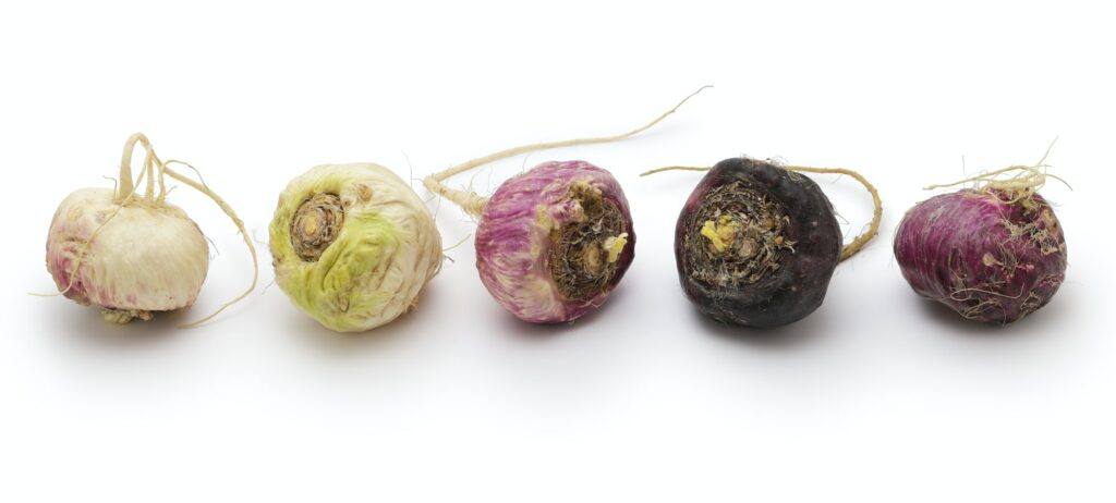 Řeřicha peruánská - Lepidium meyenii