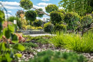 Skalka - v pozadí razilka smrdutá