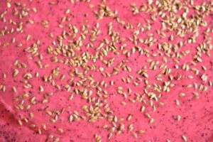 Semena úrazníku několikrát zvětšená