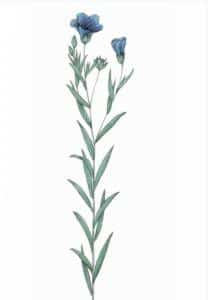 Screenshot 20230905 090811 Seznamcz