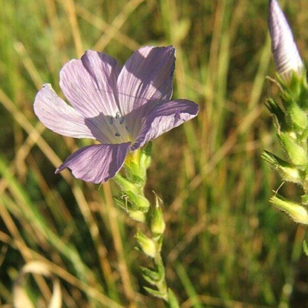 Screenshot 20230905 090854 Seznamcz