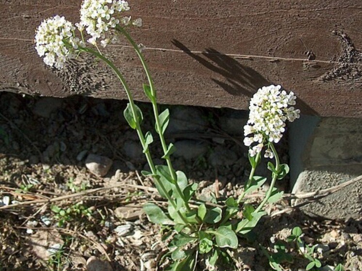 Screenshot 20230922 145837 Seznamcz