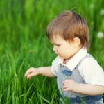 Hnojení trávníku 3 a cute child in a blue overalls and blue eyes plays funny in the tall green grass in a green copy 1