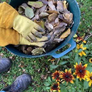 příprava na podzimní zahradu